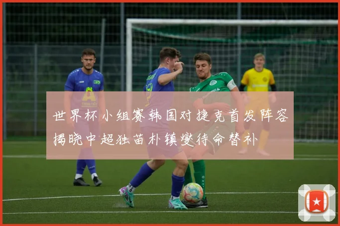 世界杯小组赛韩国对捷克首发阵容揭晓中超独苗朴镇燮待命替补