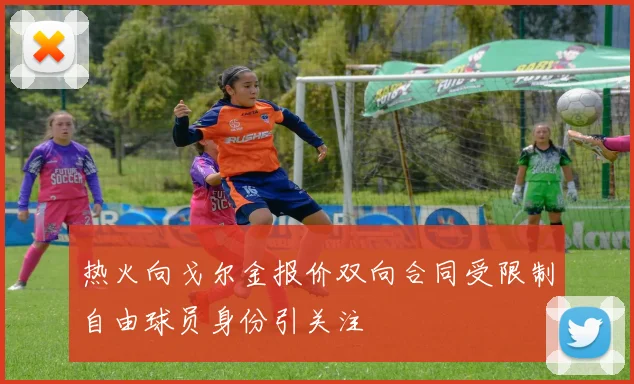 热火向戈尔金报价双向合同受限制自由球员身份引关注